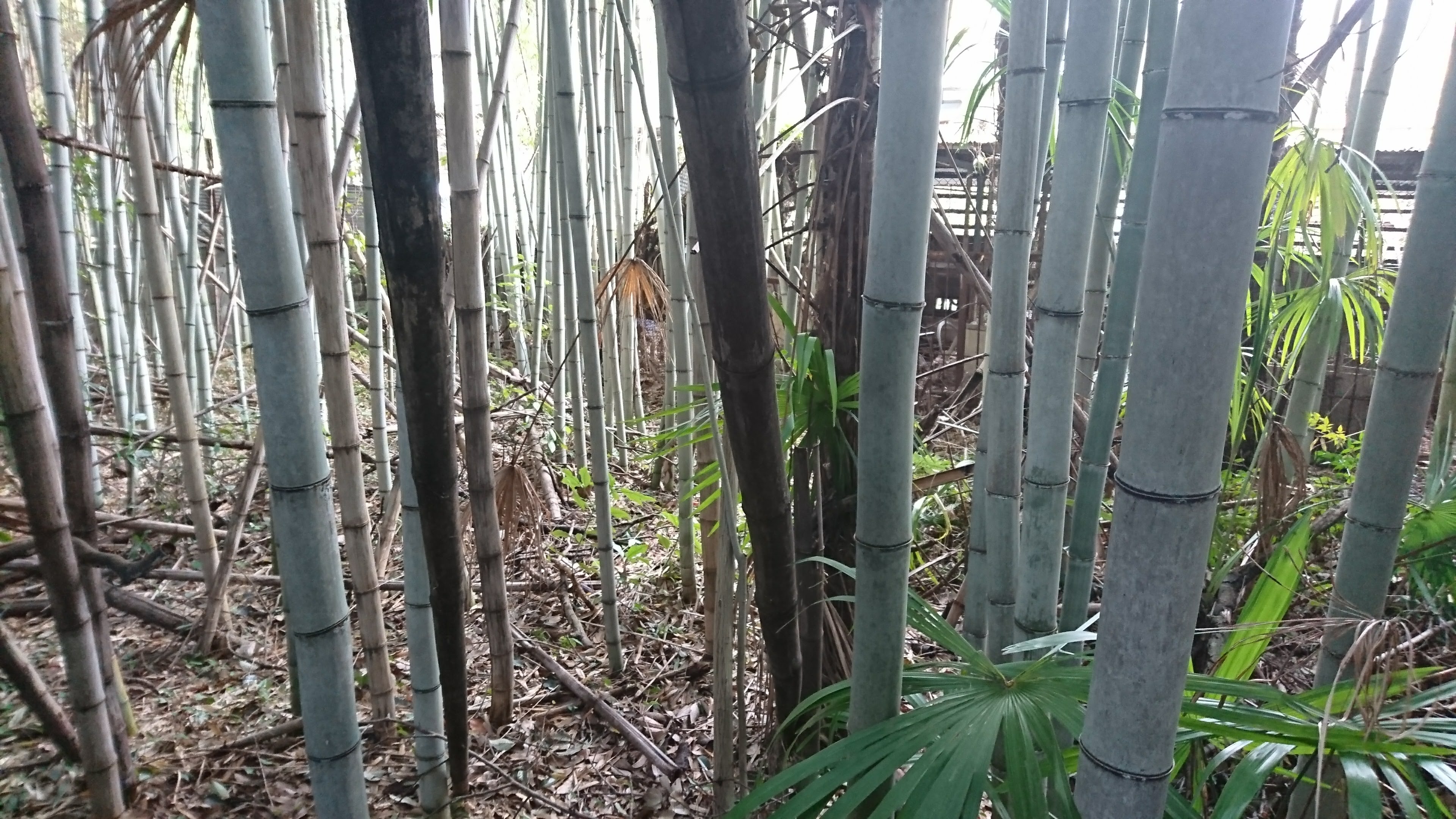 揖保郡太子町の売物件