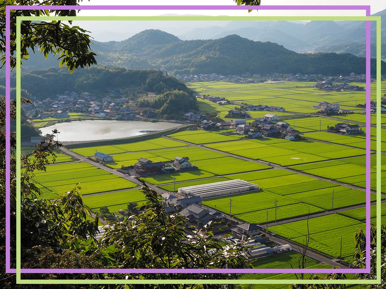 市街化調整区域内にある不動産売却